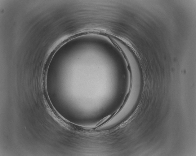 X0000084551038200703091714