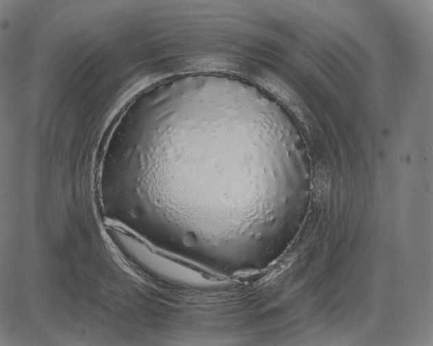 X0000084551039200703091714