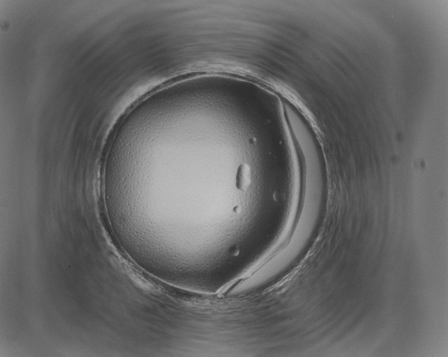 X0000084551040200703091714