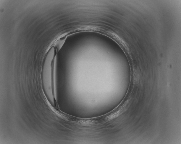 X0000084551041200703091714