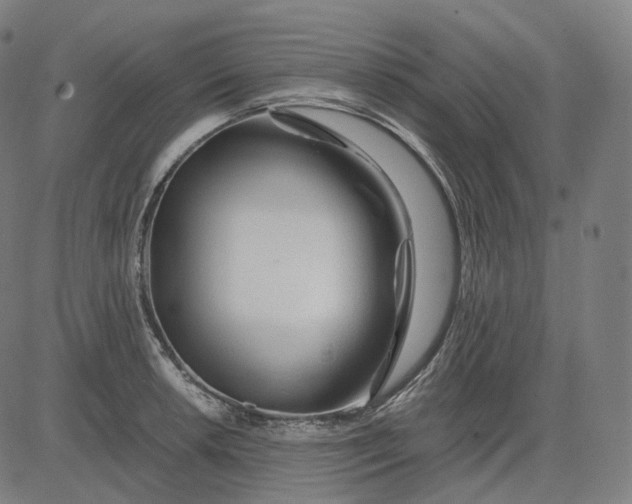 X0000084551042200703091714