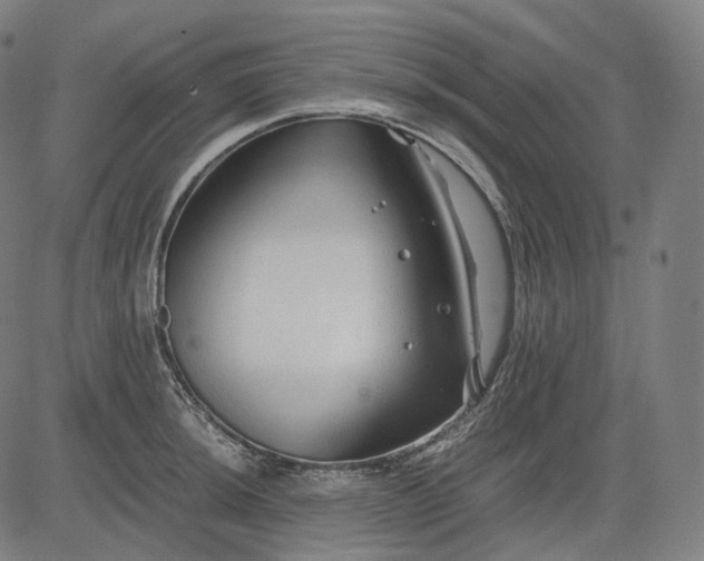 X0000084551044200703091714