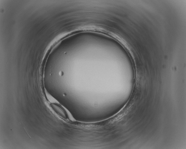 X0000084551045200703091714