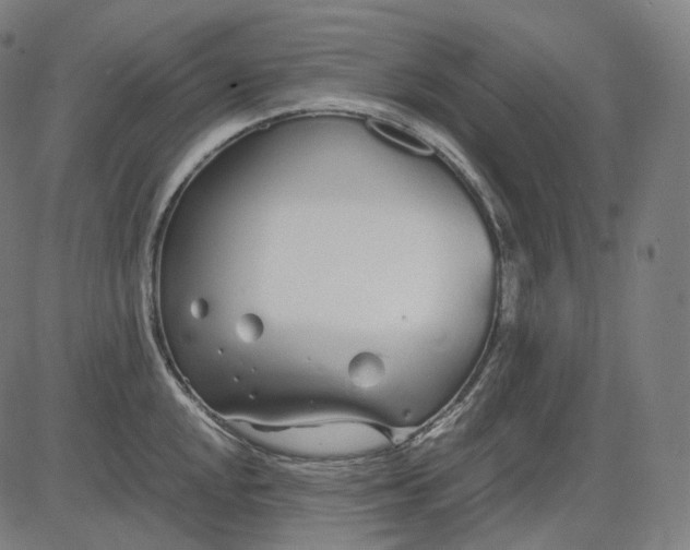 X0000084551048200703091714