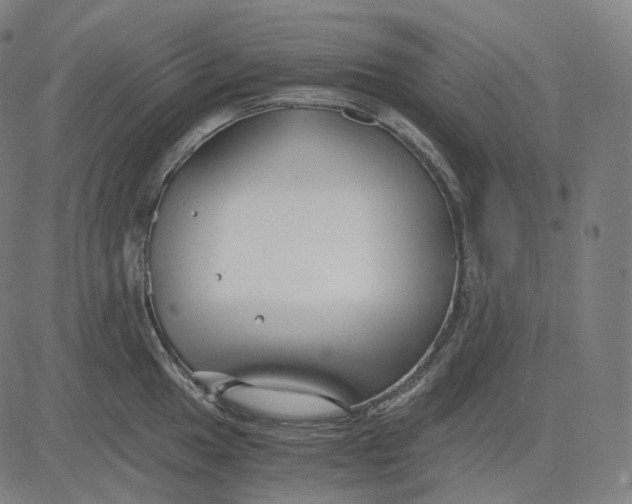 X0000084551049200703091714