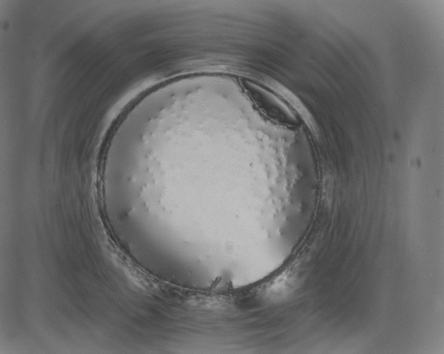 X0000084551051200703091714