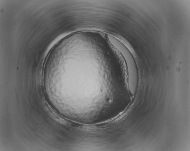 X0000084551052200703091714