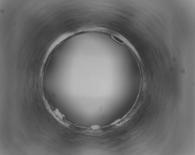 X0000084551053200703091714