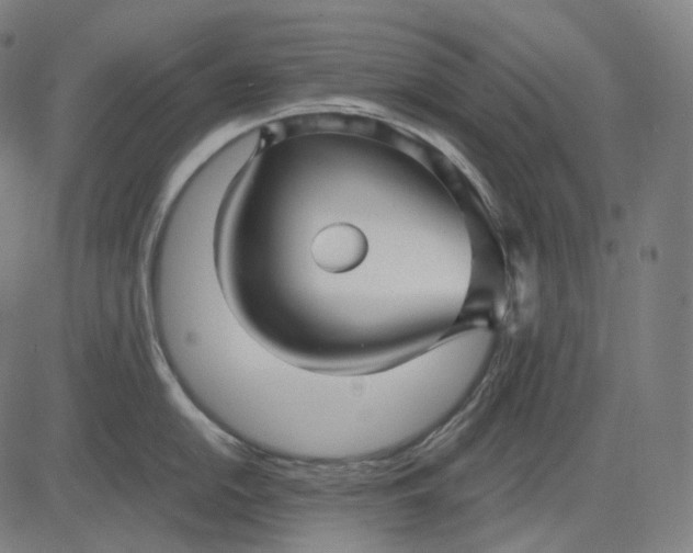 X0000084551054200703091714