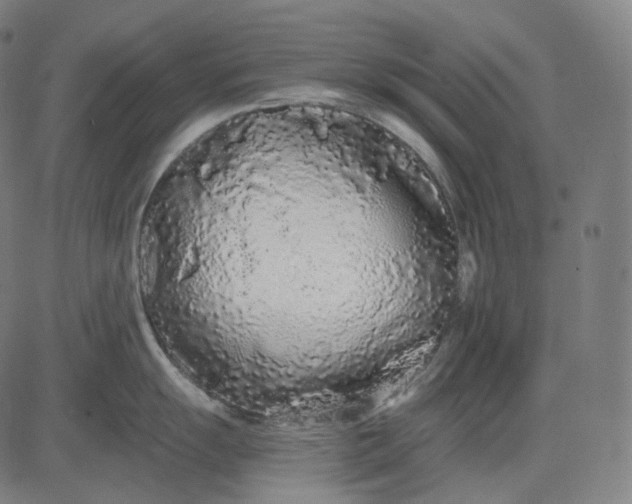 X0000084551055200703091714