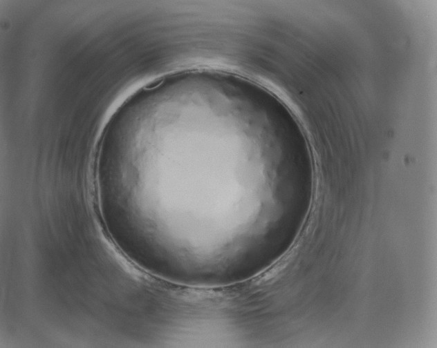 X0000084551056200703091714