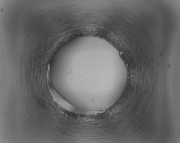 X0000084551057200703091714