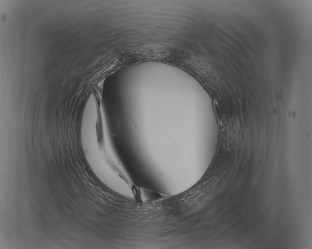 X0000084551058200703091714