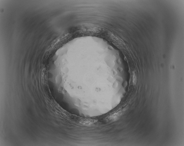 X0000084551059200703091714