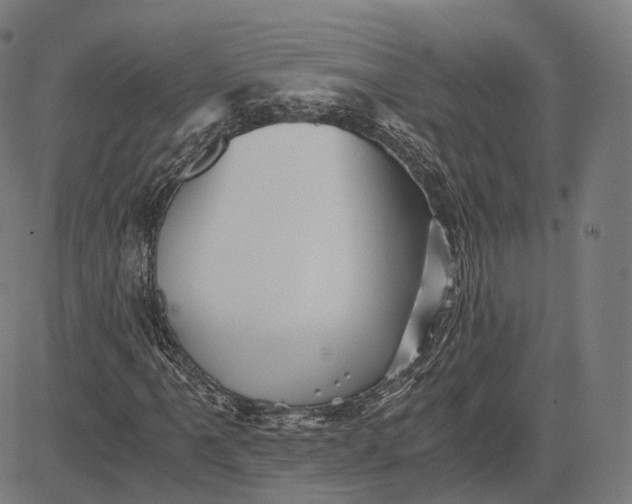 X0000084551061200703091714