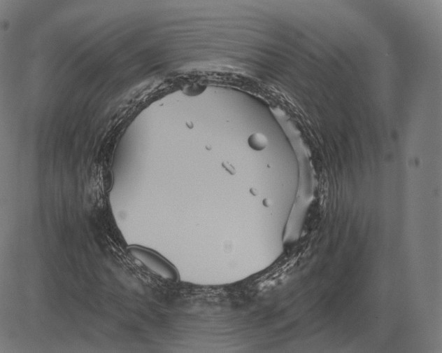 X0000084551062200703091713