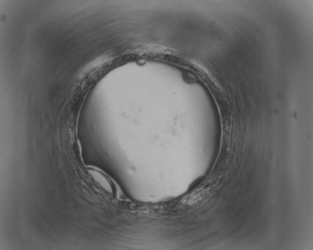 X0000084551063200703091713