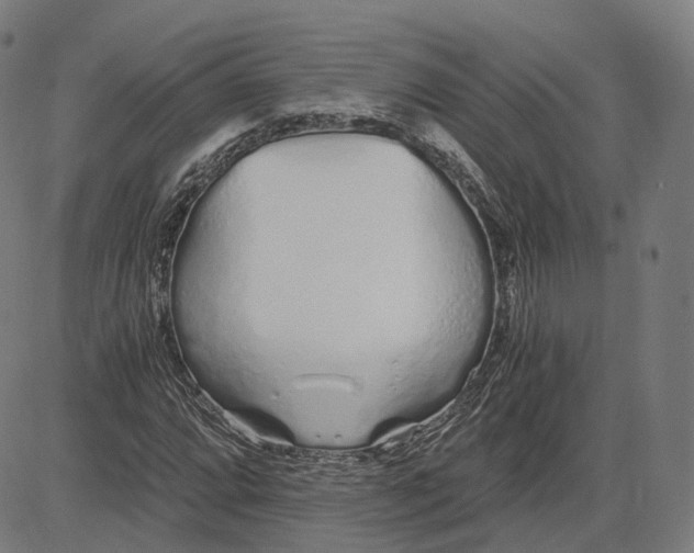 X0000084551064200703091713