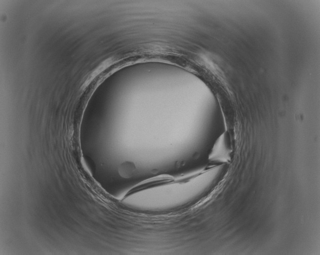 X0000084551065200703091713