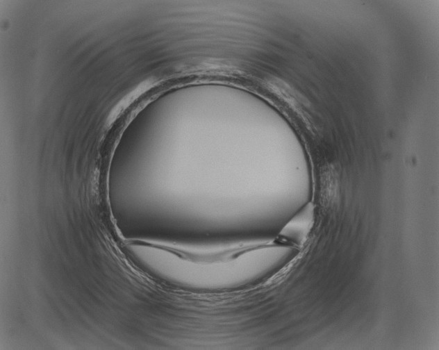 X0000084551066200703091713