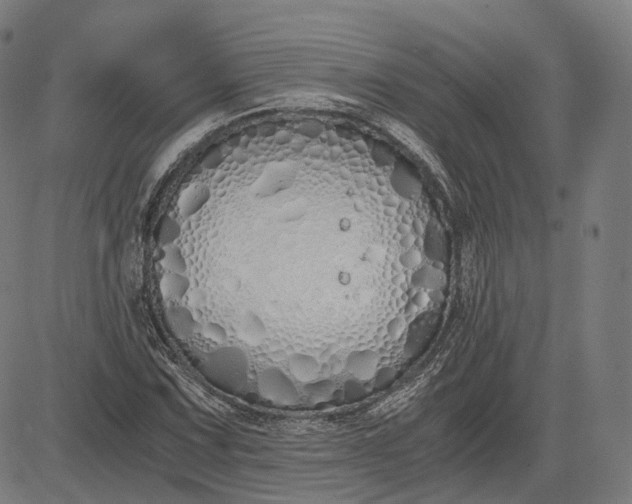 X0000084551067200703091713