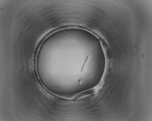 X0000084551068200703091713