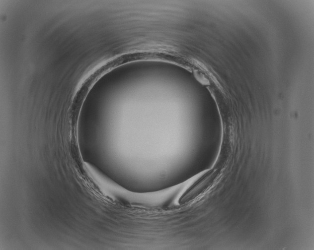 X0000084551069200703091713