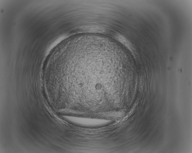 X0000084551071200703091713