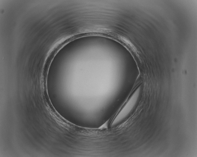 X0000084551072200703091713