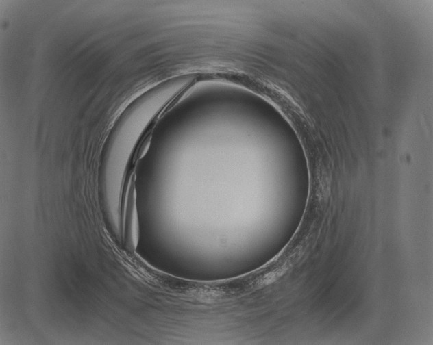 X0000084551073200703091713