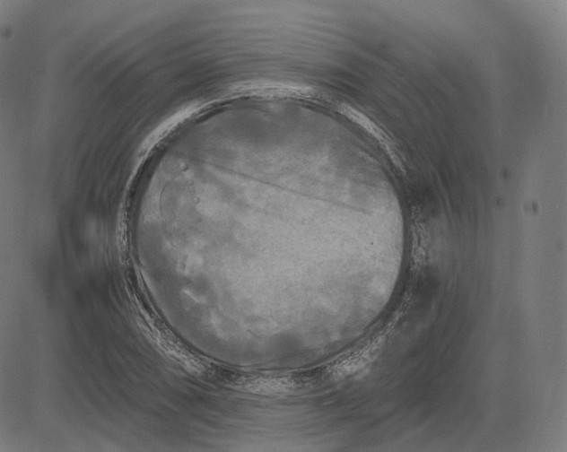 X0000084551074200703091713