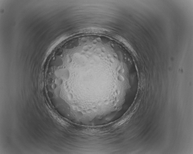 X0000084551075200703091713