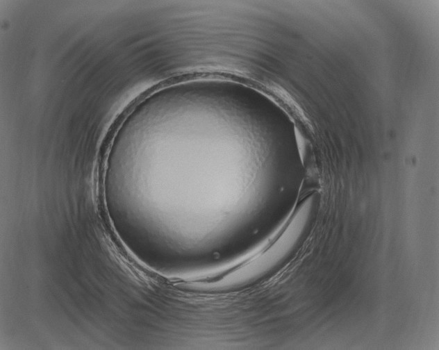 X0000084551076200703091713