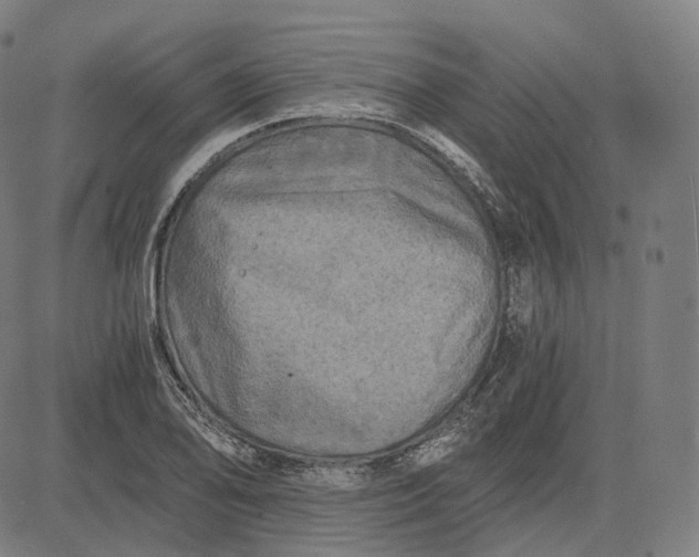 X0000084551078200703091713