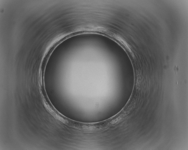 X0000084551080200703091713