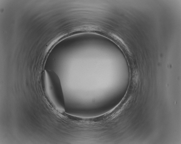 X0000084551081200703091713