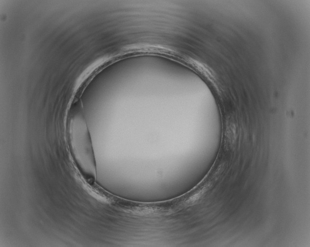 X0000084551082200703091713