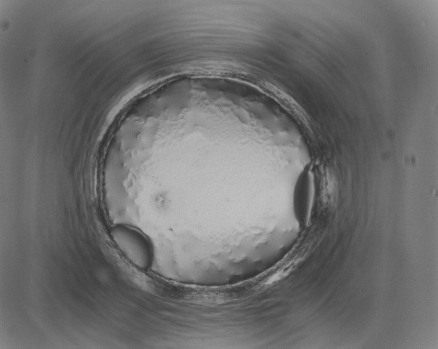 X0000084551083200703091713