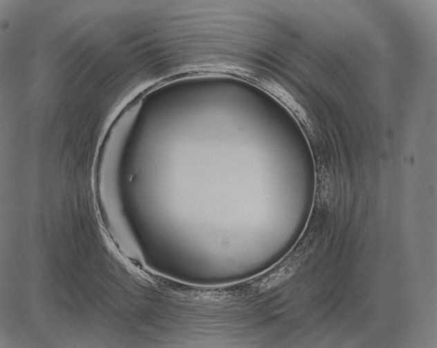 X0000084551084200703091713