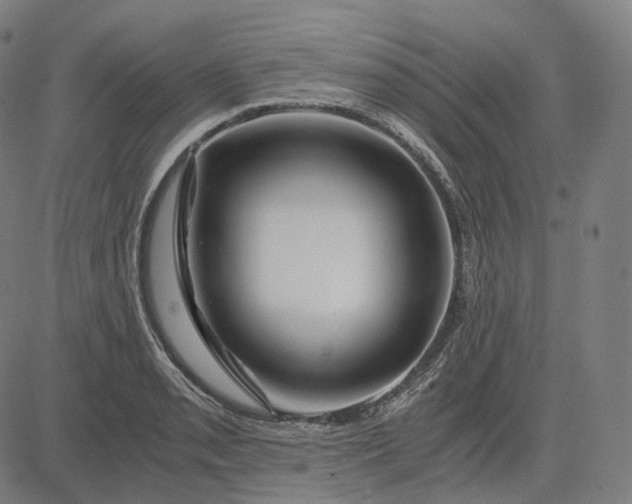 X0000084551085200703091713