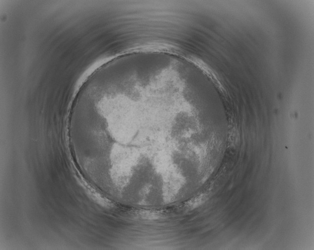 X0000084551086200703091713