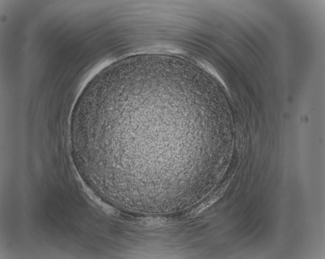 X0000084551087200703091713