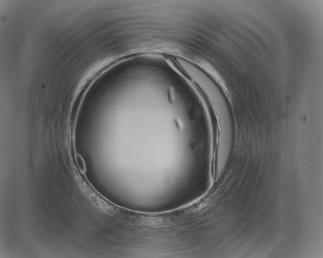 X0000084551088200703091713