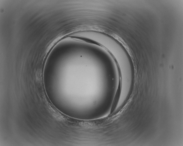 X0000084551089200703091713