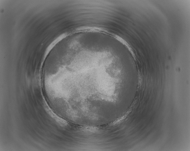 X0000084551090200703091713