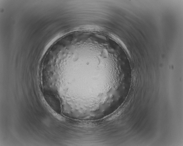 X0000084551091200703091713