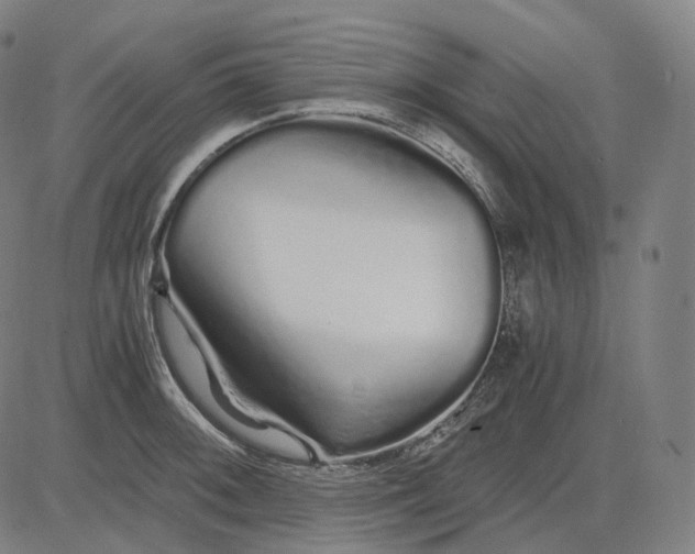 X0000084551092200703091713