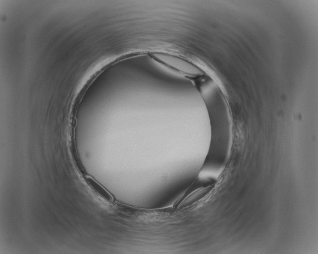 X0000084551093200703091713