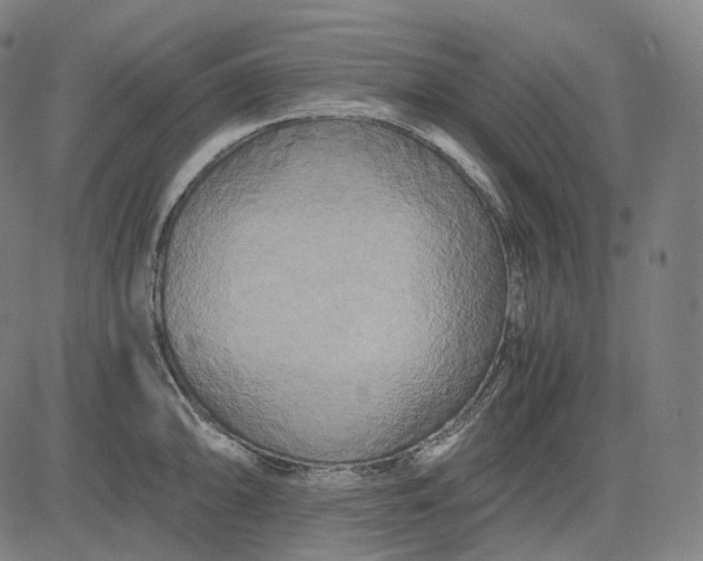 X0000084551094200703091713