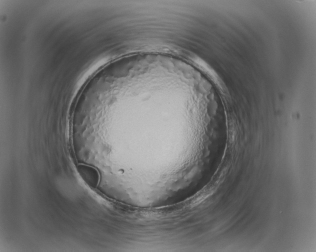 X0000084551095200703091713